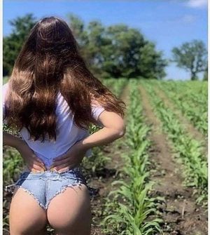 Something else is about to get plowed