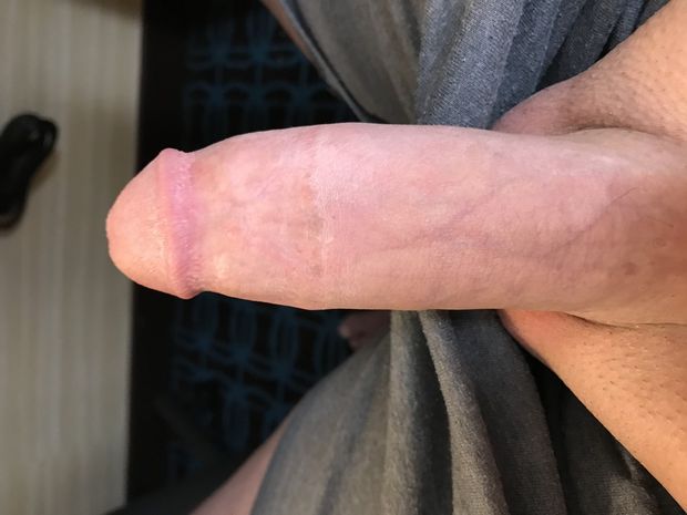 Waiting for kitten to serve her daddy