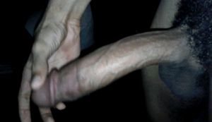 hard cock for white asses