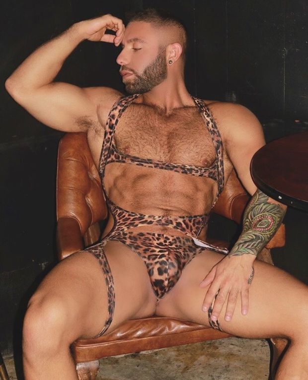 gay