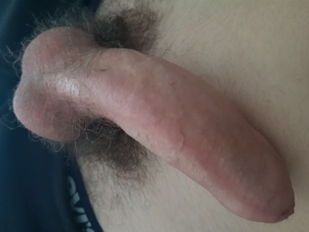 My hairy heavyset balls and 18 cm cock