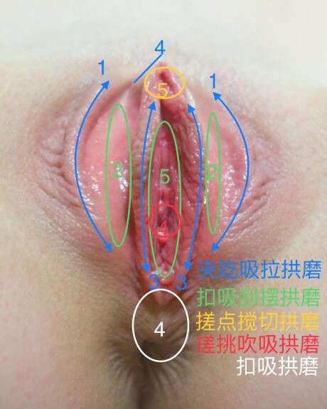 pussy eating