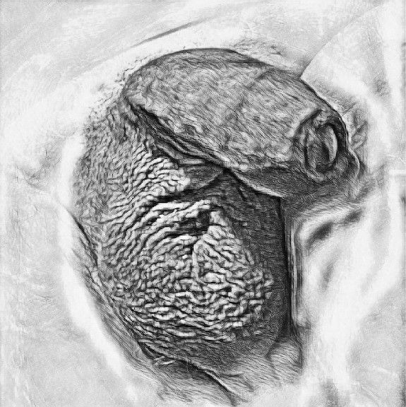 Dick Art