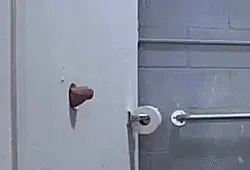 huge cock at the gloryhole