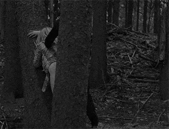 Fucked in the woods