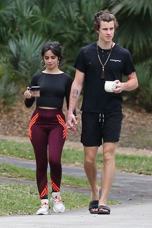 Camila Cabello and Shawn Mendes out walking holding hands with Camila going braless showing off her tits and sexy ass in workout wear seen b
