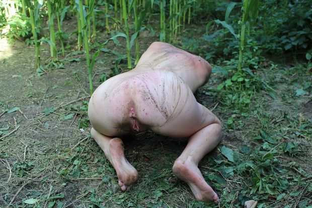 Reduced to a pig