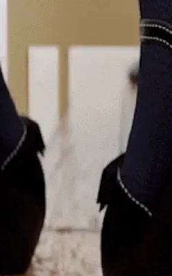 ебlja