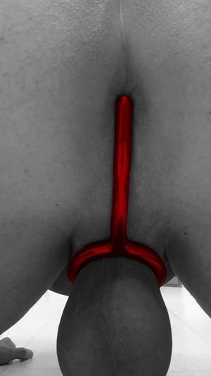 Cockring with anal ball