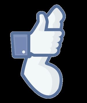 The best rating you can give on this website