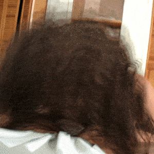 Luna Scene 2 Part 6 (Bangbros)