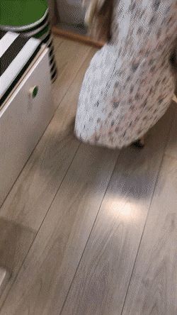 Beautiful Lady Pulls Dress Up Shopping For Furniture