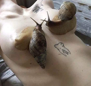 snailkini? Probably better than starfish