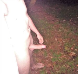 Outdoor in the Forest