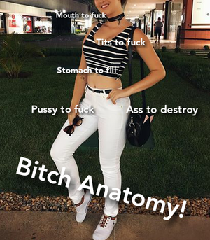 Anatomy