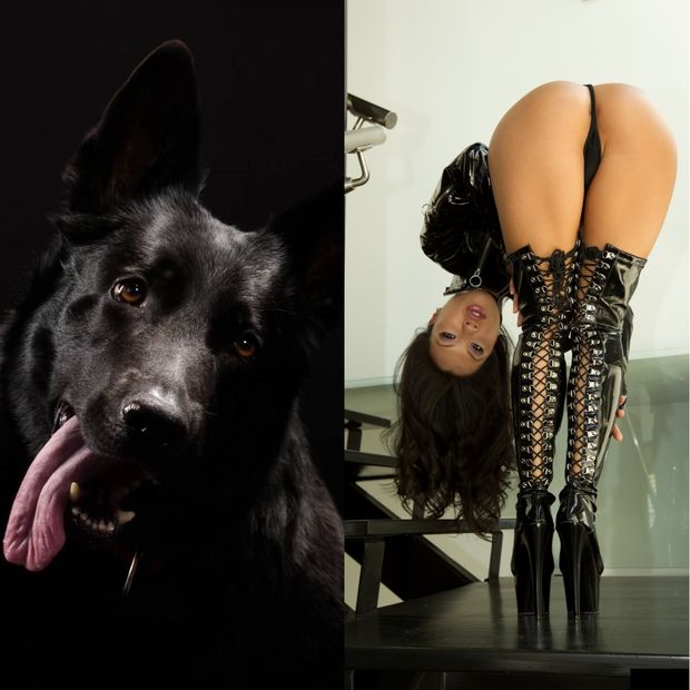 Dog and hot asian woman