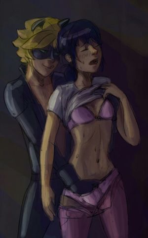 miraculous ladybug sin