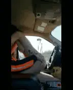 Rough outdoor sex