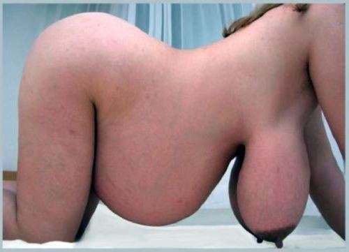 Daddy needs to suck on your udders full of sweet warm milk!