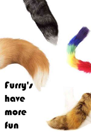 Furry Fun
