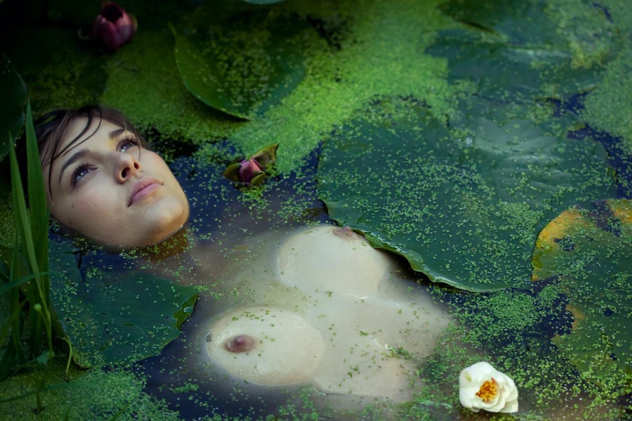 pale lilypad