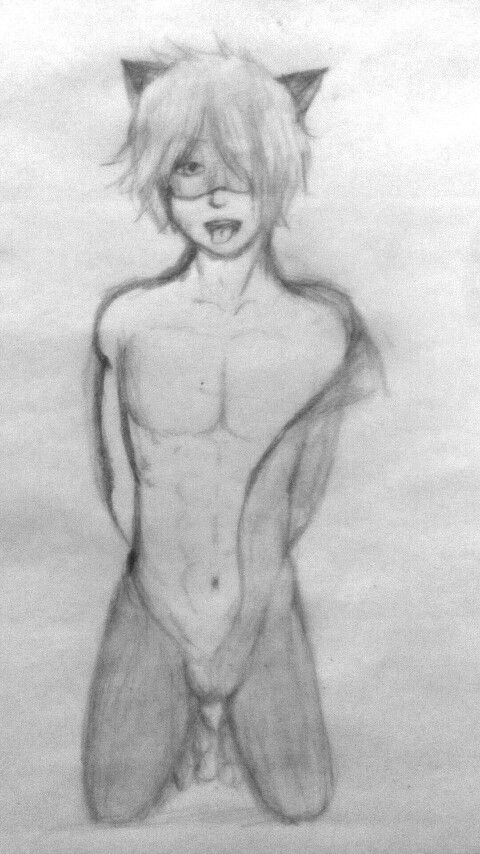 miraculous ladybug sin