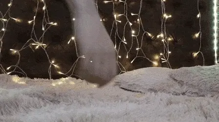 devil of the hot falling variety