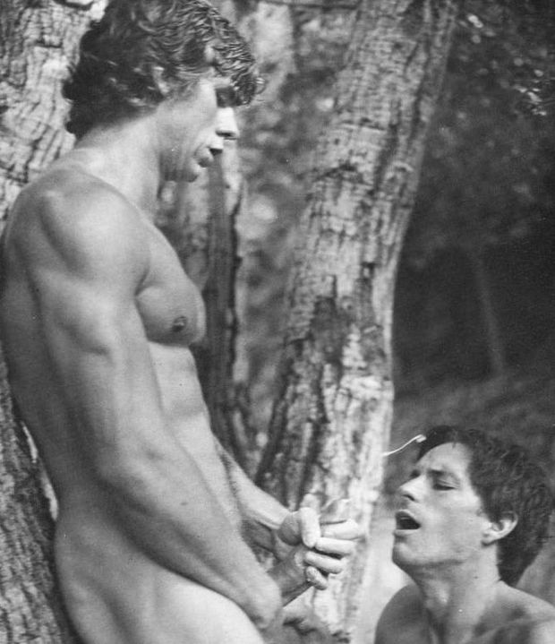 VINTAGE GAY PORN