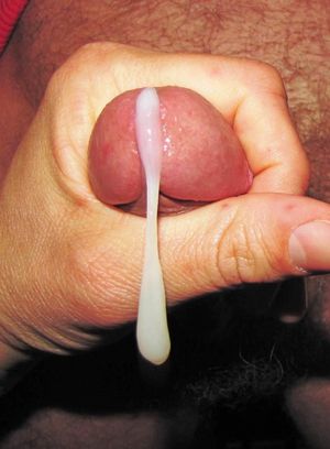 jerking & beautiful cumshot (4)