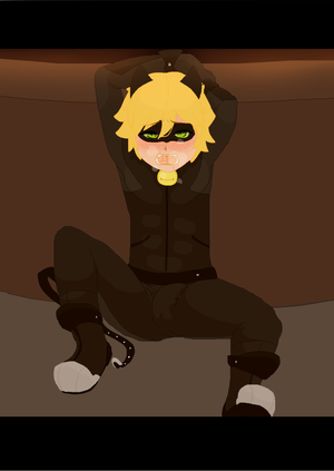 miraculous ladybug sin