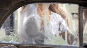 Huge Boobs Pressed Against Wet Glass