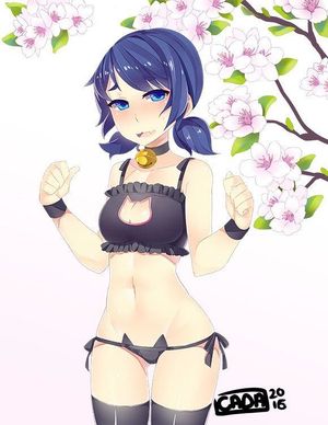 miraculous ladybug sin