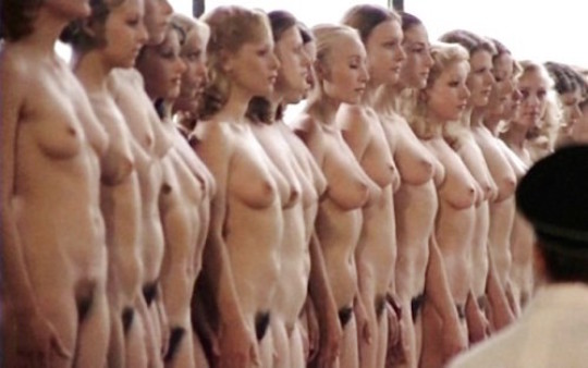 "Sir, Can You Identify The Woman Who Flashed You?"