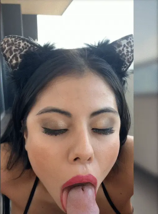Meowingkitten