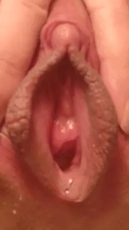 spreading-pussy gif 1