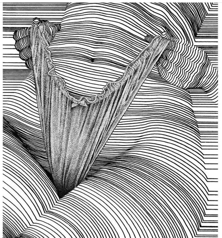 Line art