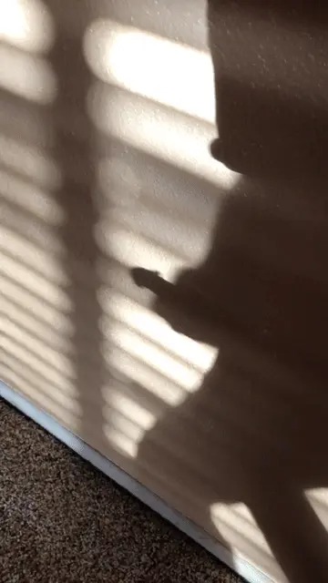 shadow dancing
