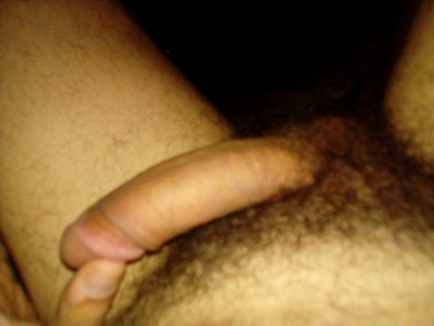 cock verga pene dick