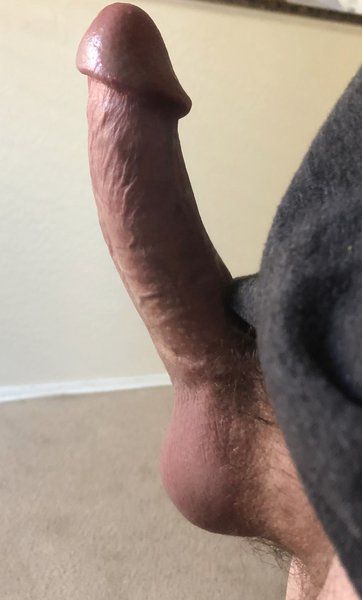 very erect dick