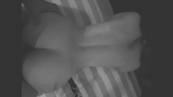 Perfect ass IA