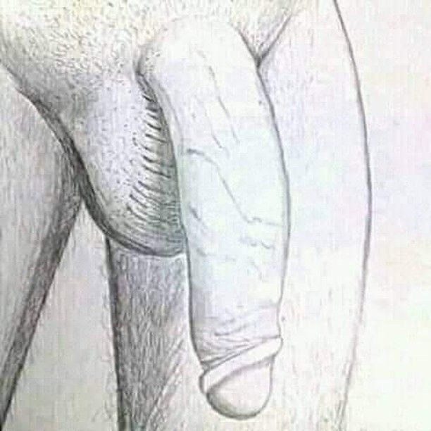 Sex Arabic