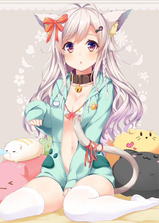 Cute Kitty