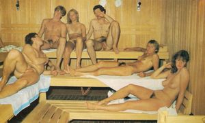 vintage group sauna