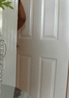 Peek a Booty