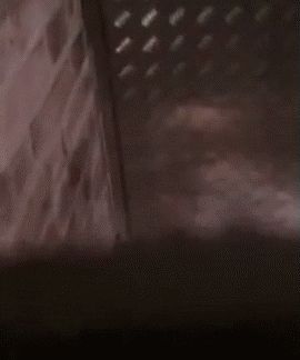 "Fuck that pussy you naughty stud"