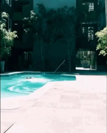 Sierra Love