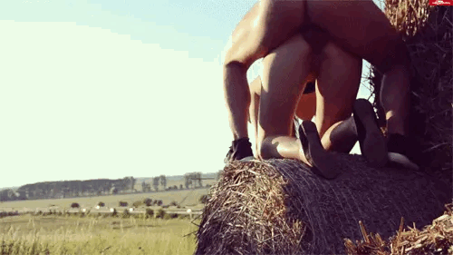 Challenge: on your travels find awesome locations for a good fuck