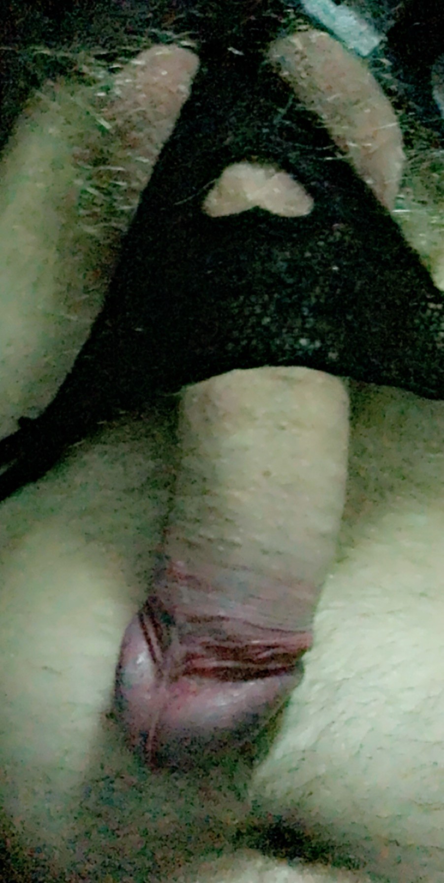 My hard cock in a g-string