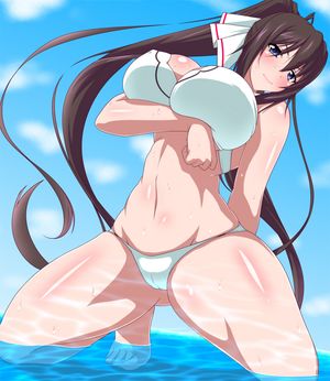 Rule 34 shinonono houki, Rule 34 infinite stratos