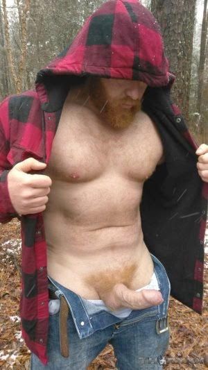 ginger cock